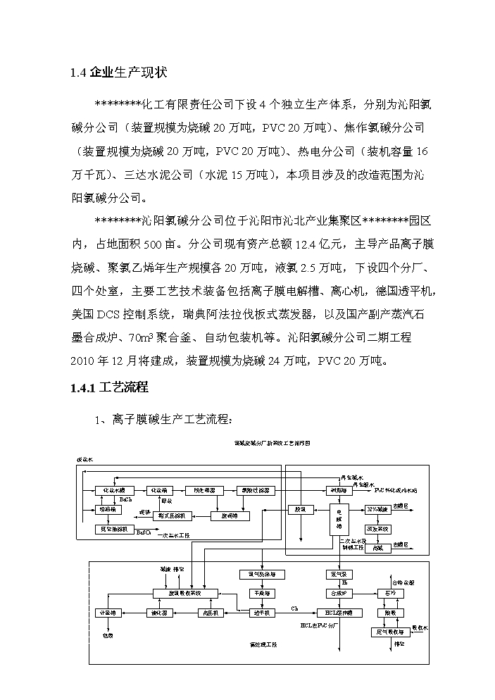 河南某化工公司氯堿裝置清潔生產新增項目評估分析報告第3頁