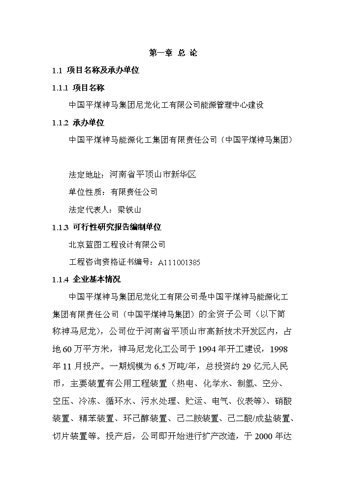 （終稿）化工有限公司能源管理中心新增項目評估分析報告.doc（最終版）第4頁