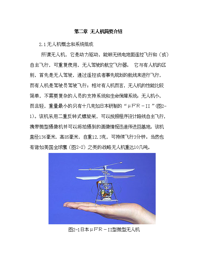 （終稿）無人飛機應用于海事監管的投資立項申報計劃書.doc（最終版）第5頁