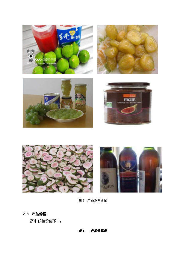 無花果新建項目投資計劃書第4頁