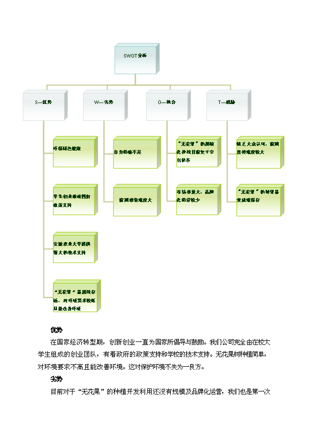 無花果新建項目投資計劃書第9頁
