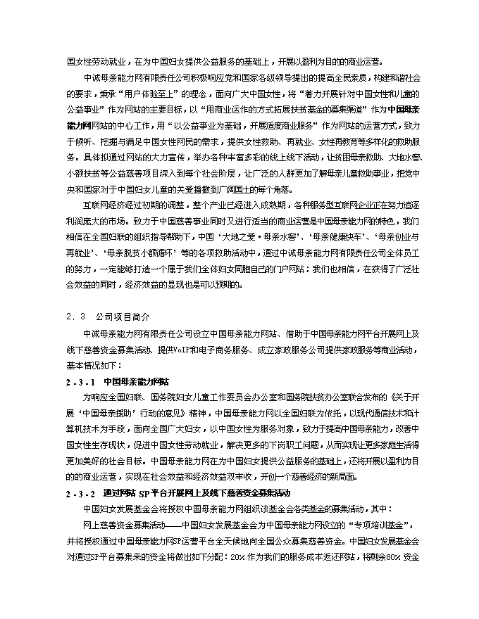 （終稿）中誠母親能力網有限公司新增項目可行性投資論證建議書.doc（最終版）
