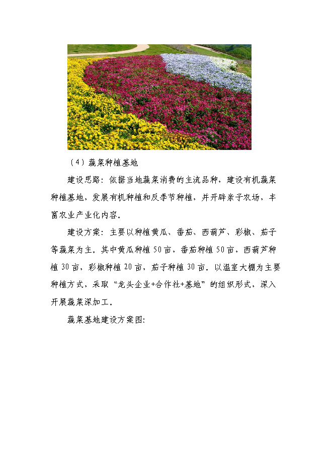 （終稿）樂農現代農業生態示范園新增項目可行性投資論證建議書.doc（最終版）第12頁