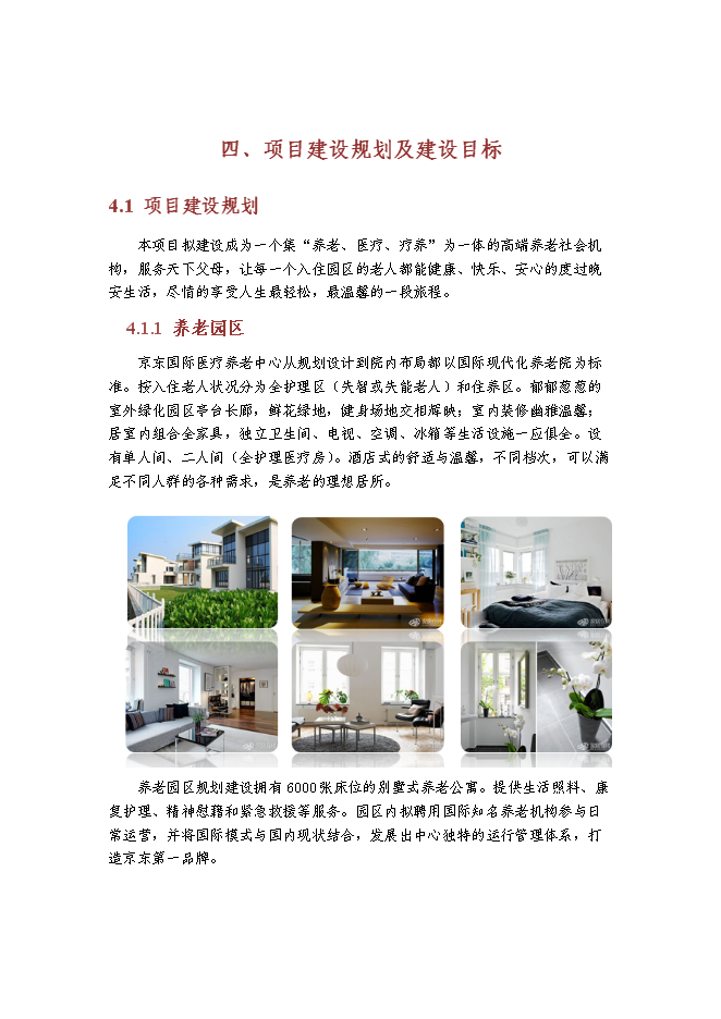 （終稿）京東國際醫療養老中心新增項目可行性投資論證建議書.doc（最終版）第15頁