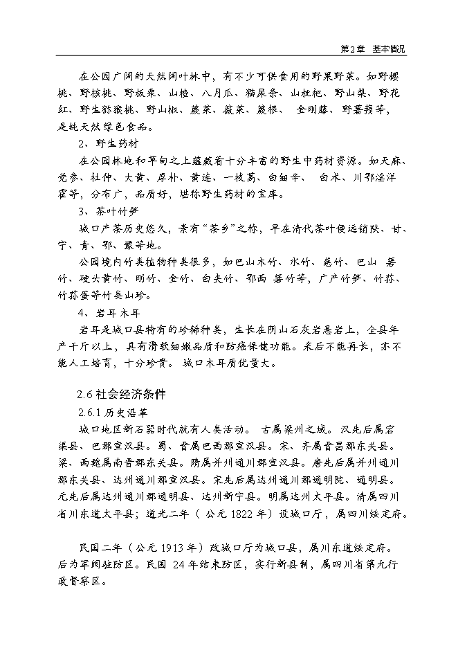（終稿）九重山國家森林公園新增項目可行性投資論證建議書.doc（最終版）