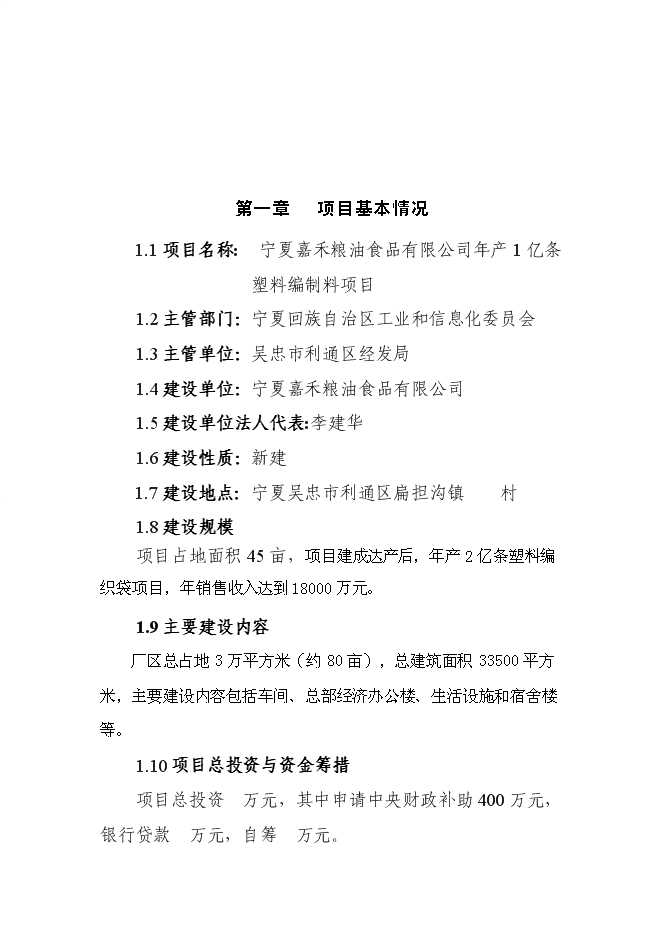 （終稿）億條塑料編織袋新增項目可行性投資論證建議書.doc（最終版）