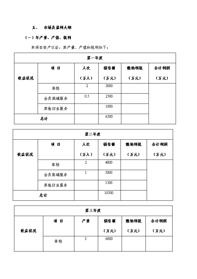（終稿）健康整體解決方案服務中心新增項目可行性投資論證建議書.doc（最終版）第13頁