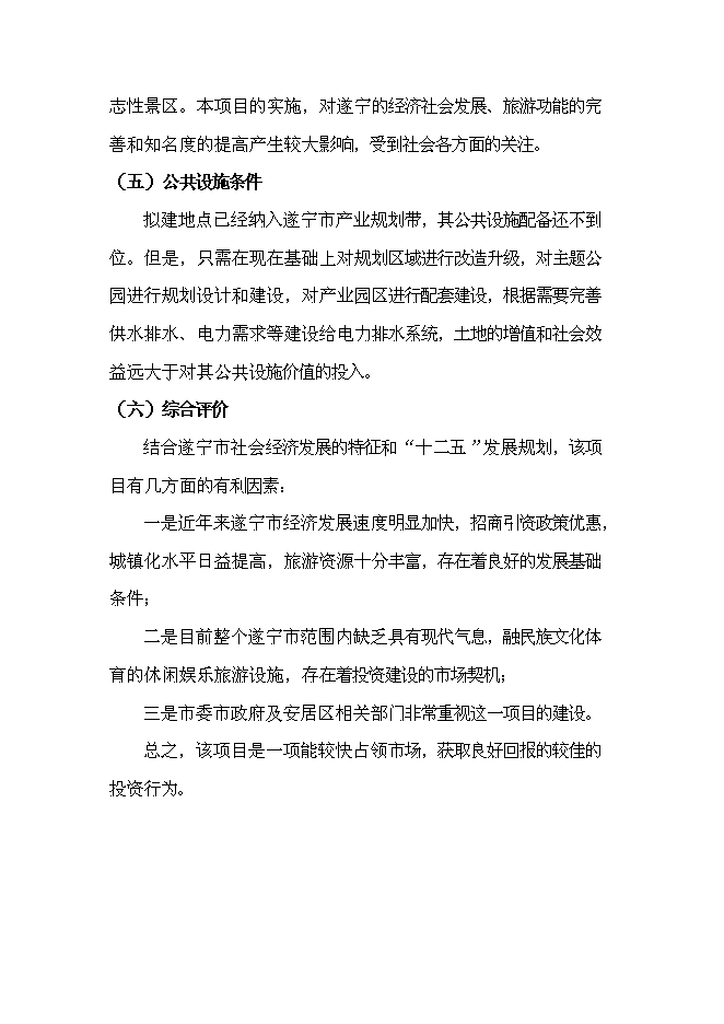 （終稿）養生谷主題公園旅游綜合開發新增項目可行性投資論證建議書.doc（最終版）