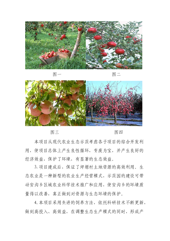 （終稿）農業生態農業示范園新增項目可行性投資論證建議書.doc（最終版）第8頁