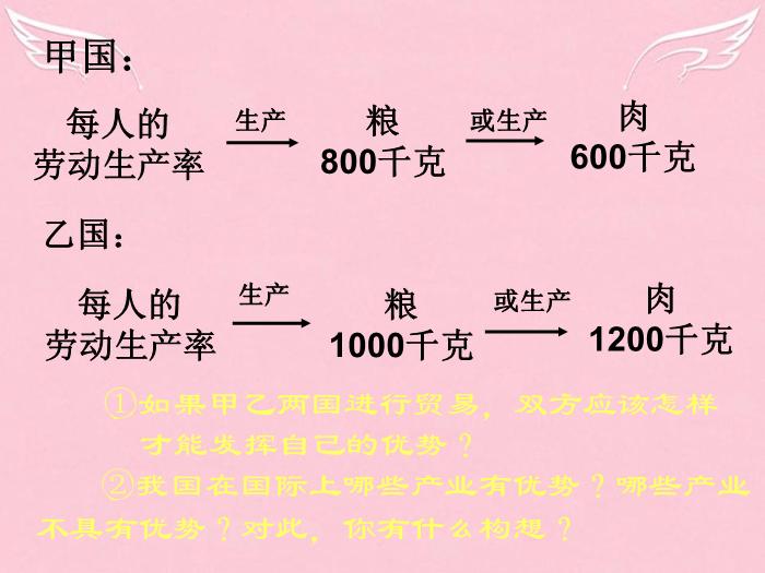 江蘇省揚州市高中政治 11.1《面對經濟全球化》課件 新人教版必修1預覽圖（12）