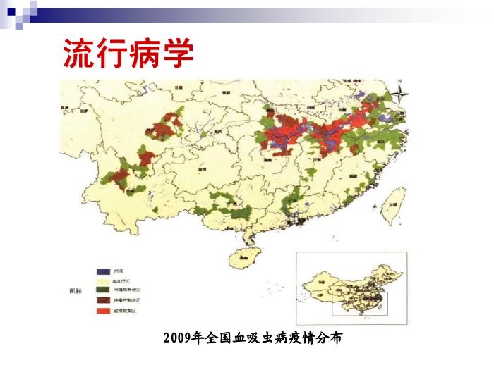 【醫學PPT課件】日本血吸蟲病 華中科技大學傳染病學教學課件第10頁
