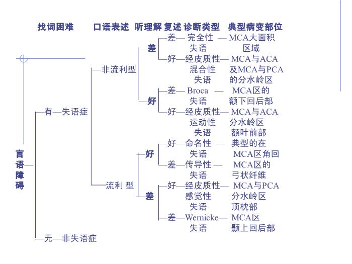 【醫學PPT課件】全國言語培訓班檢查法-北京天壇醫院神經內科第14頁