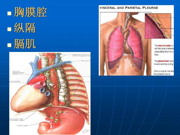 【醫學PPT課件】第27章 胸部損傷  蚌埠醫學院胸外科王祖義第4頁
