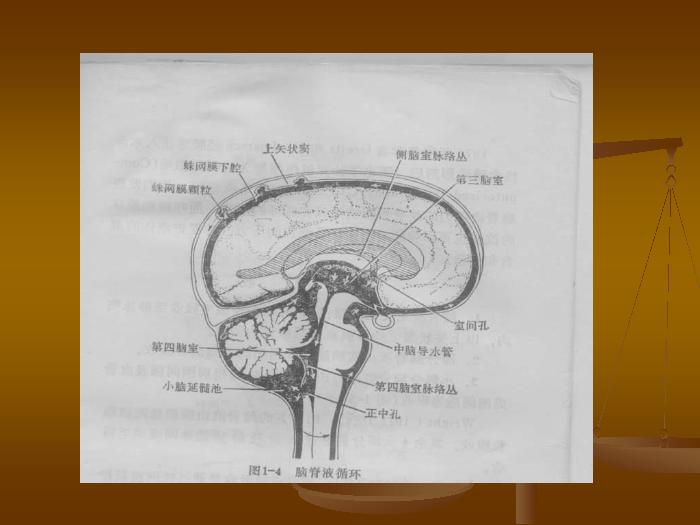 【醫學PPT課件】腦脊液檢測的臨床意義及其新進展第9頁