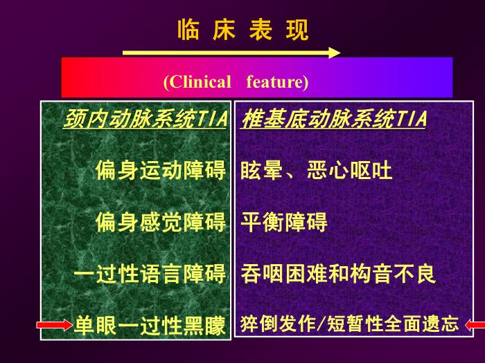 【醫學PPT課件】短暫性腦缺血發作  北京航天總醫院神經內科第13頁