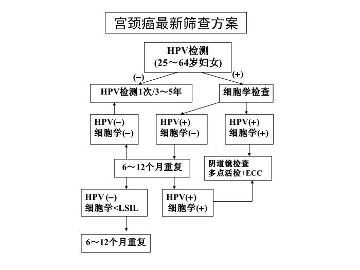 【醫學PPT課件】宮頸癌前病變診治2010 中日友好醫院 婦產科第2頁
