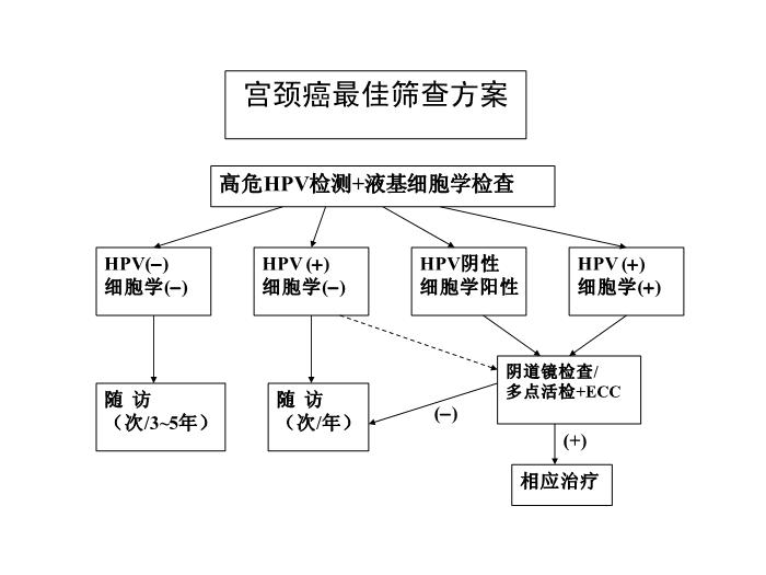 【醫學PPT課件】宮頸癌前病變診治2010 中日友好醫院 婦產科第3頁