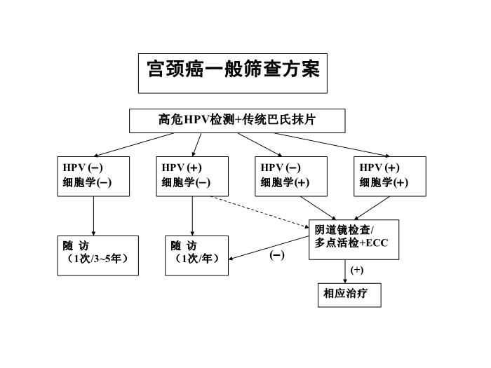 【醫學PPT課件】宮頸癌前病變診治2010 中日友好醫院 婦產科第4頁