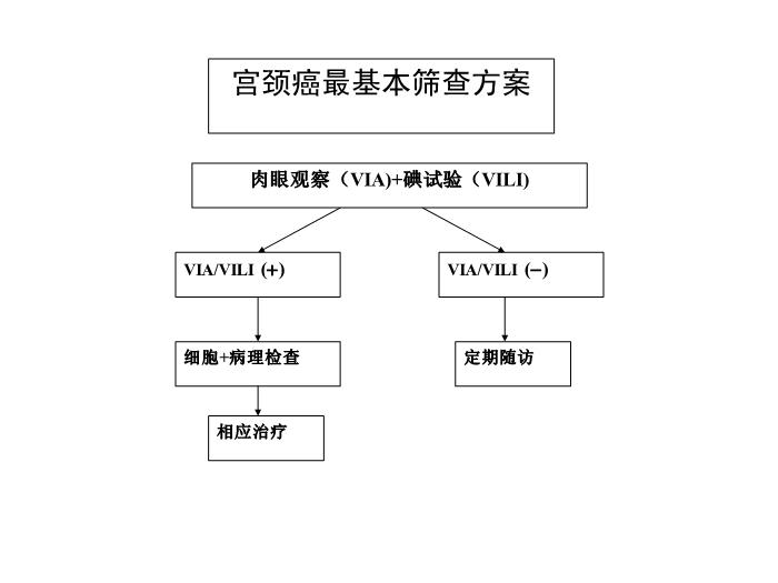 【醫學PPT課件】宮頸癌前病變診治2010 中日友好醫院 婦產科第5頁