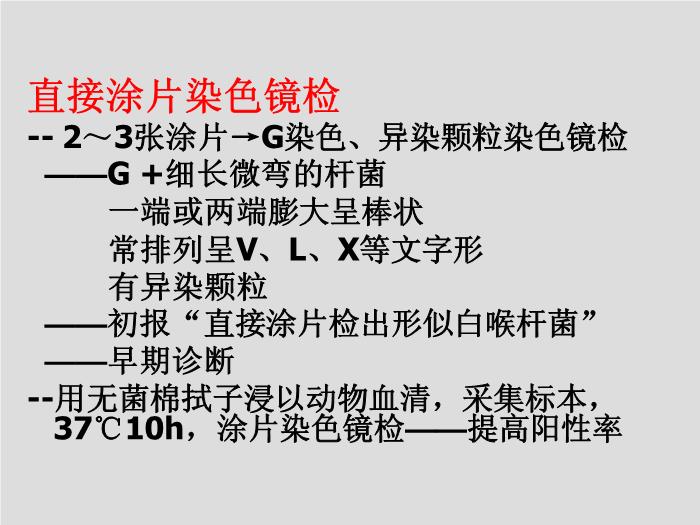 【醫學PPT課件】第12章 棒狀桿菌屬 北華大學醫學院第13頁