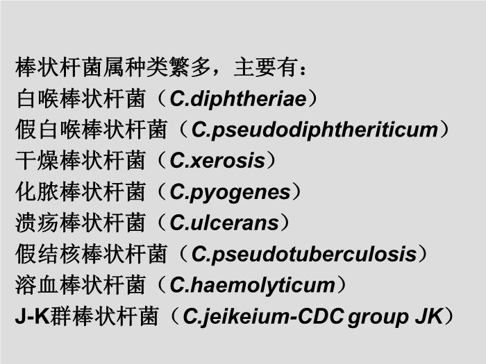 【醫學PPT課件】第12章 棒狀桿菌屬 北華大學醫學院第3頁