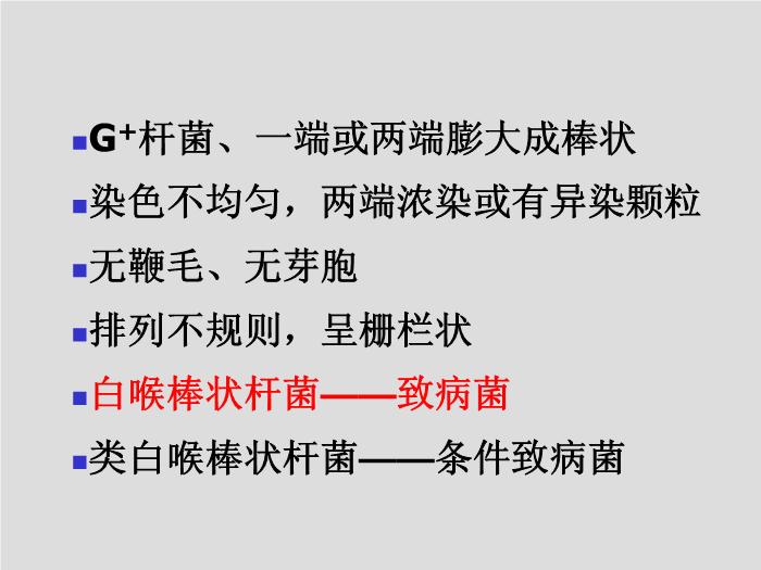 【醫學PPT課件】第12章 棒狀桿菌屬 北華大學醫學院第4頁