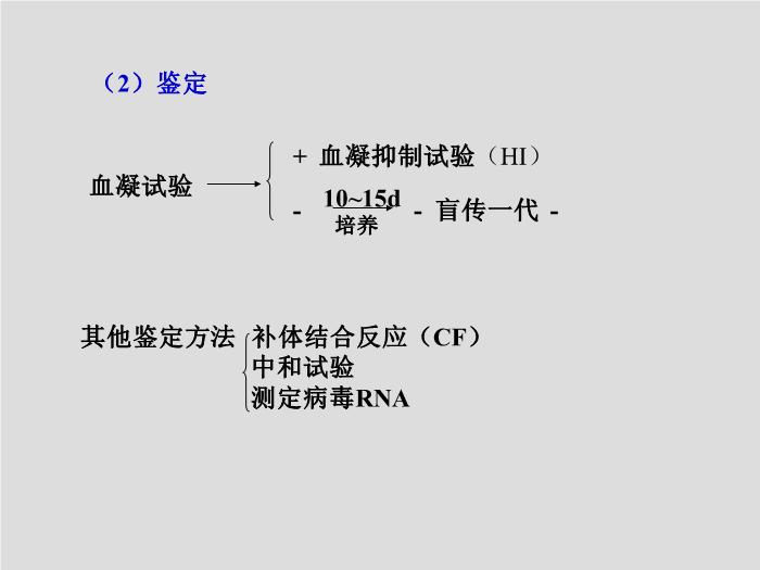 【醫學PPT課件】第24章 呼吸道病毒 北華大學醫學院第11頁