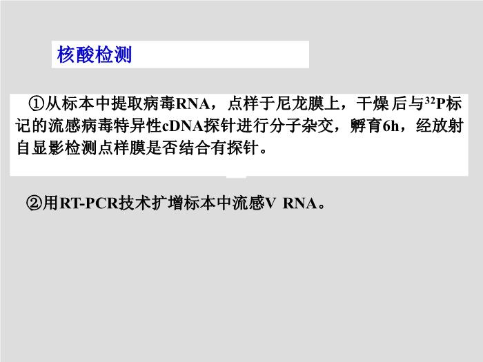 【醫學PPT課件】第24章 呼吸道病毒 北華大學醫學院第14頁