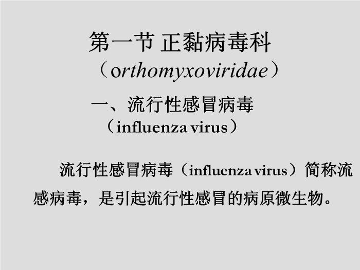 【醫學PPT課件】第24章 呼吸道病毒 北華大學醫學院第4頁