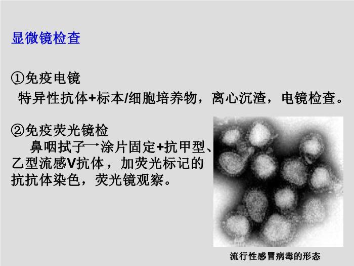 【醫學PPT課件】第24章 呼吸道病毒 北華大學醫學院第8頁