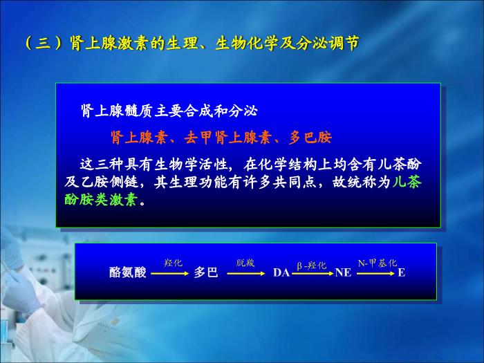 【醫學PPT課件】第19章 內分泌疾病的生物化學診斷（人衛）第10頁