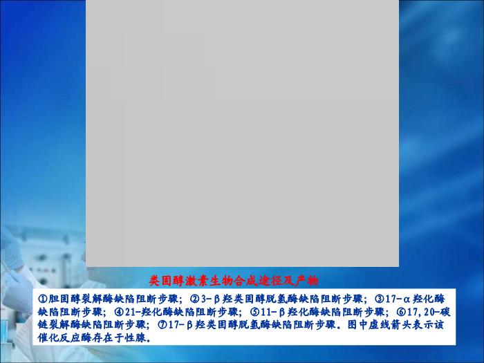 【醫學PPT課件】第19章 內分泌疾病的生物化學診斷（人衛）第12頁
