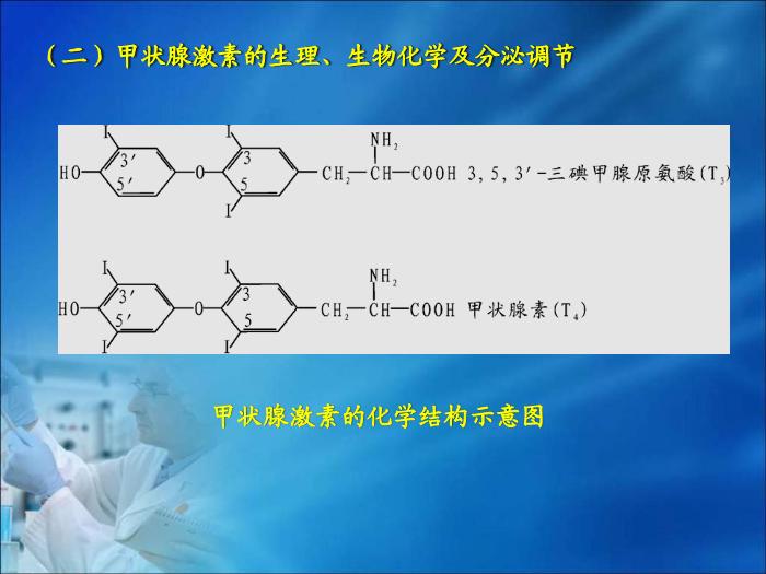 【醫學PPT課件】第19章 內分泌疾病的生物化學診斷（人衛）第7頁