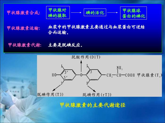 【醫學PPT課件】第19章 內分泌疾病的生物化學診斷（人衛）第8頁