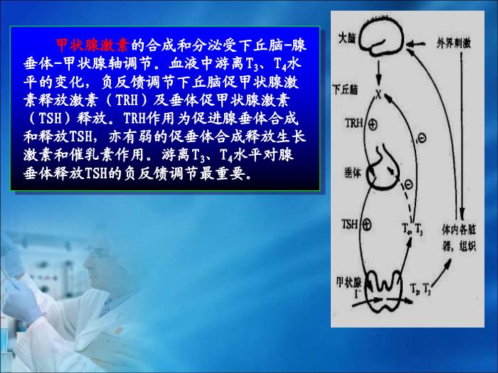 【醫學PPT課件】第19章 內分泌疾病的生物化學診斷（人衛）第9頁