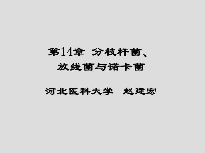 【醫學PPT課件】第14章 分枝桿菌、放線菌與諾卡菌  河北醫科大學第1頁