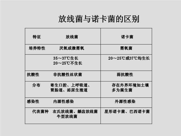 【醫學PPT課件】第14章 分枝桿菌、放線菌與諾卡菌  河北醫科大學第4頁