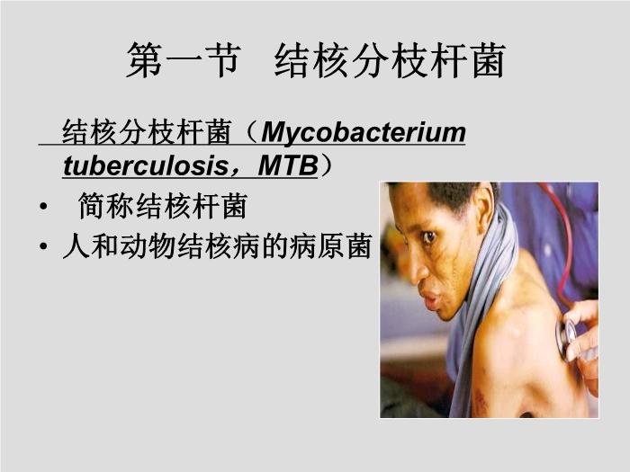 【醫學PPT課件】第14章 分枝桿菌、放線菌與諾卡菌  河北醫科大學第5頁