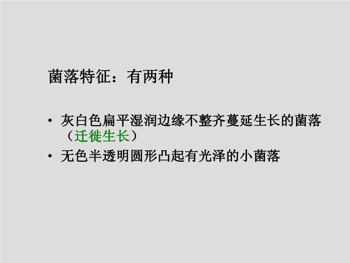 【醫學PPT課件】第11章 彎曲菌屬與螺桿菌屬 廣州醫學院吳愛武第14頁