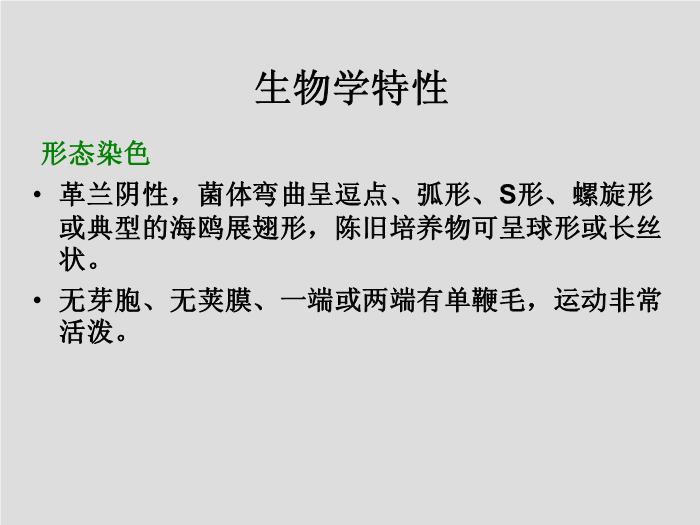 【醫學PPT課件】第11章 彎曲菌屬與螺桿菌屬 廣州醫學院吳愛武第9頁