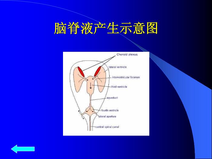 【醫學PPT課件】腦脊液檢查 中南大學湘雅醫院第10頁