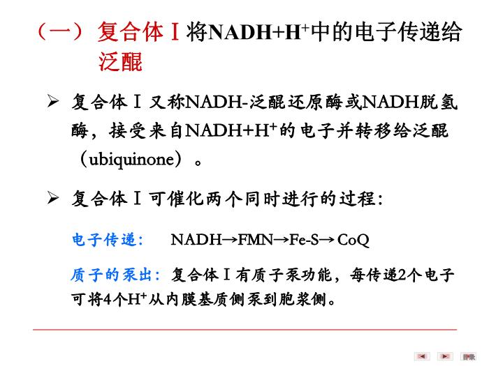 【醫學PPT課件】第八章 生物氧化  生物化學與分子生物學第10頁