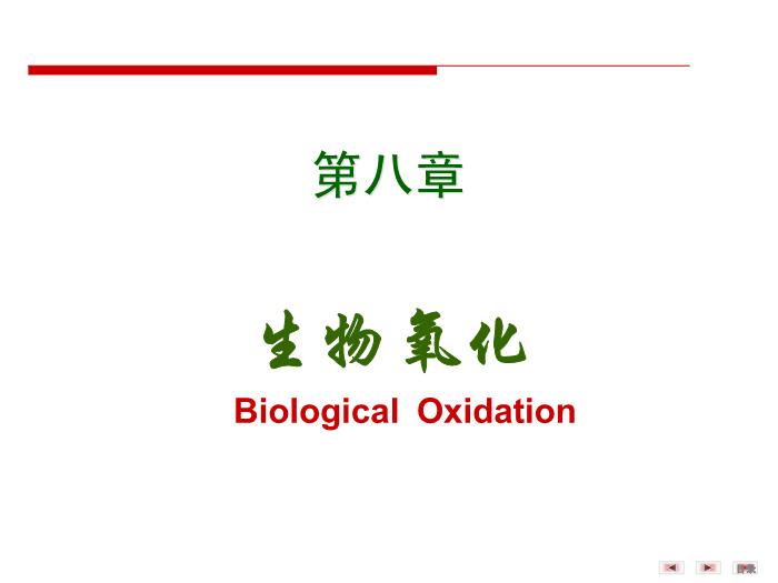 【醫學PPT課件】第八章 生物氧化  生物化學與分子生物學第2頁