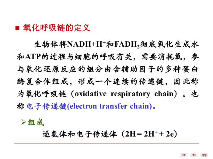 【醫學PPT課件】第八章 生物氧化  生物化學與分子生物學第6頁