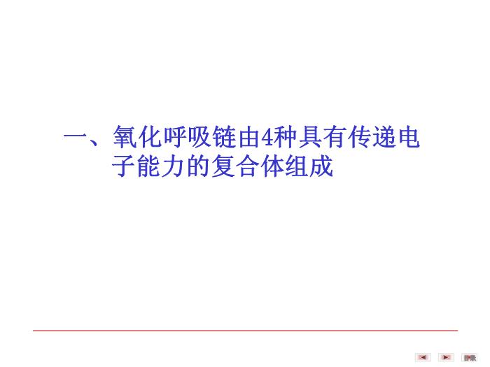 【醫學PPT課件】第八章 生物氧化  生物化學與分子生物學第7頁