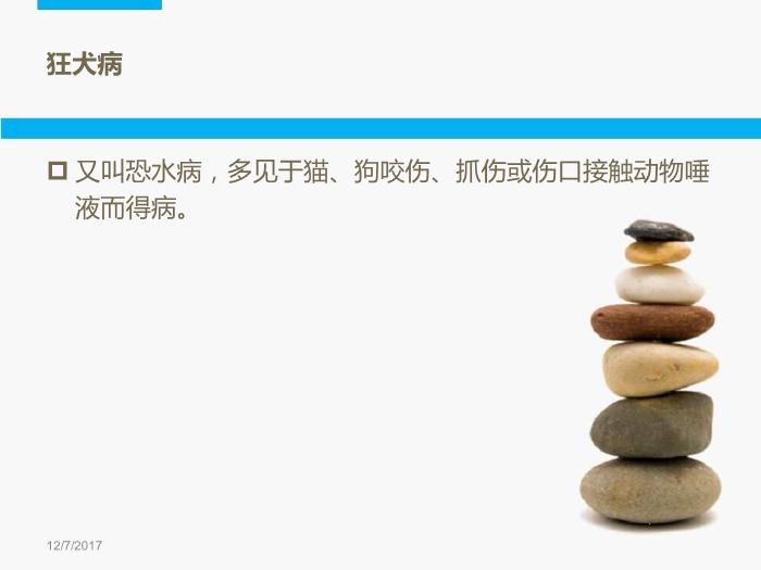 【醫學PPT課件】動力咬傷處理-開封市中醫院-急診科-楊長治第2頁