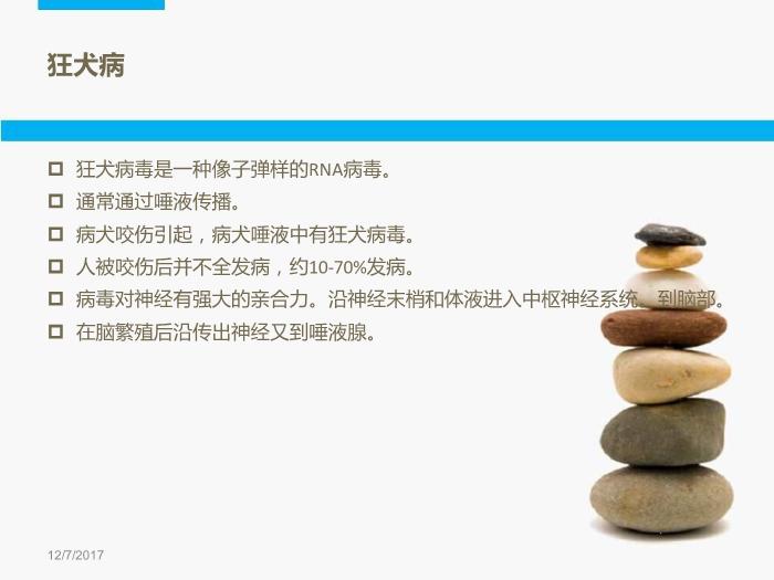 【醫學PPT課件】動力咬傷處理-開封市中醫院-急診科-楊長治第3頁