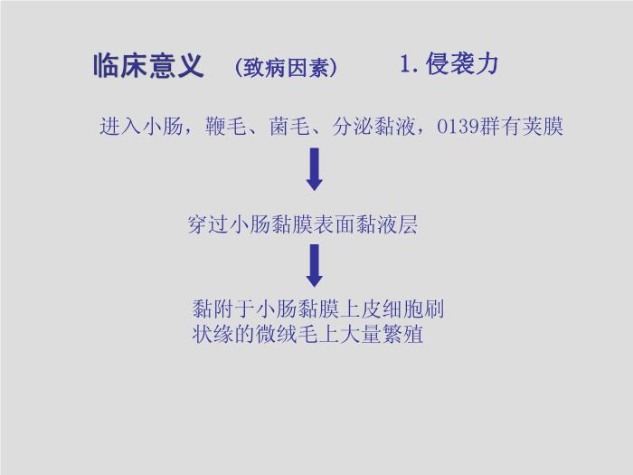 【醫學PPT課件】弧菌屬、氣單胞菌屬和鄰單胞菌屬第11頁