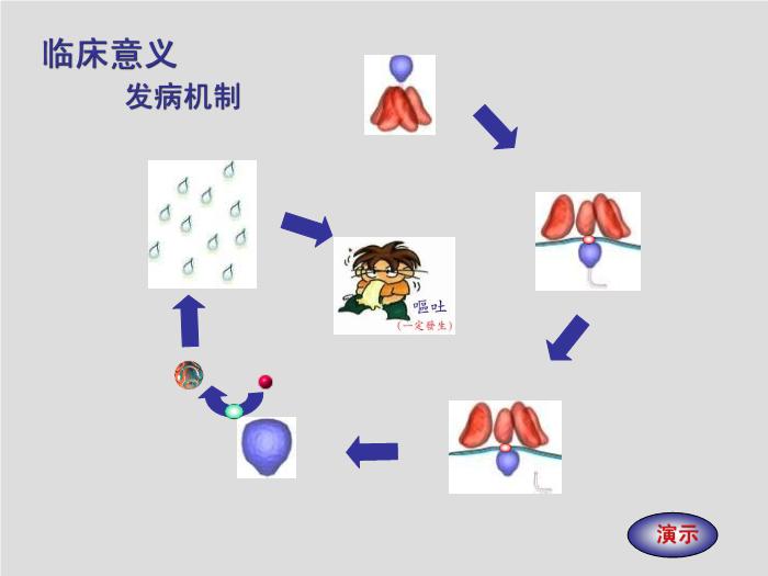 【醫學PPT課件】弧菌屬、氣單胞菌屬和鄰單胞菌屬第13頁