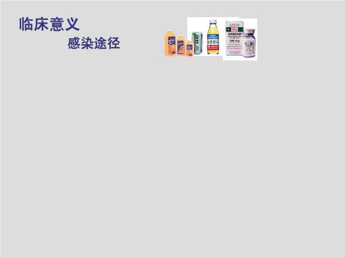 【醫學PPT課件】弧菌屬、氣單胞菌屬和鄰單胞菌屬第15頁